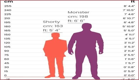 Discover The Height Of Vic Mensa